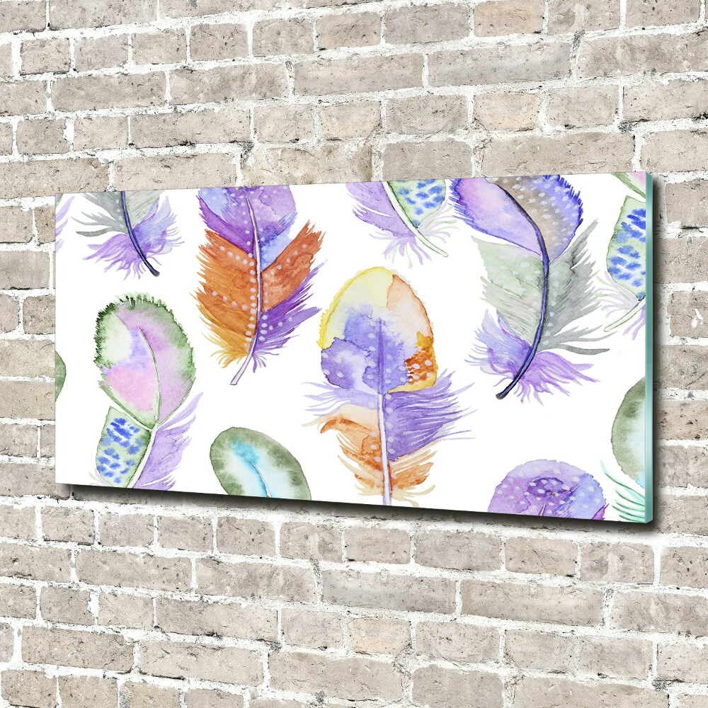 Wall art acrylic Colorful feathers