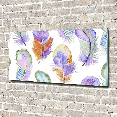 Wall art acrylic Colorful feathers