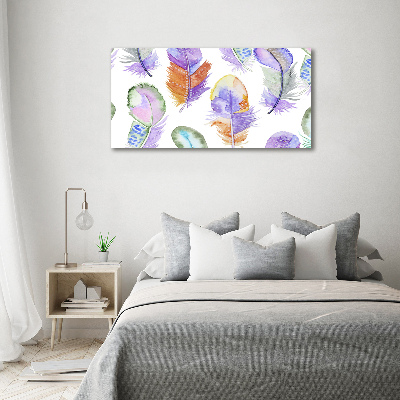 Wall art acrylic Colorful feathers