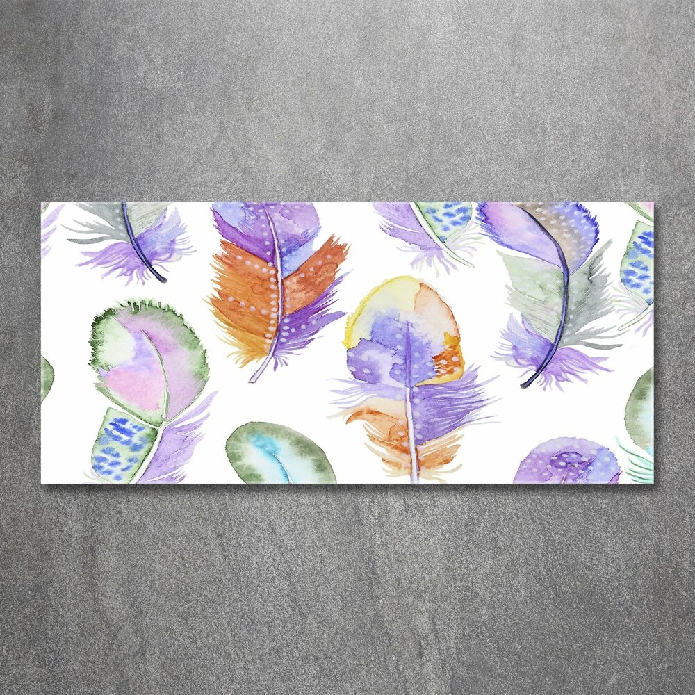 Wall art acrylic Colorful feathers