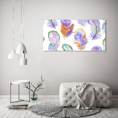 Wall art acrylic Colorful feathers