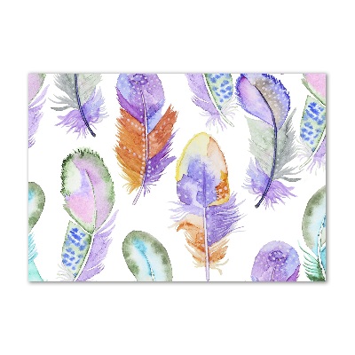 Wall art acrylic Colorful feathers