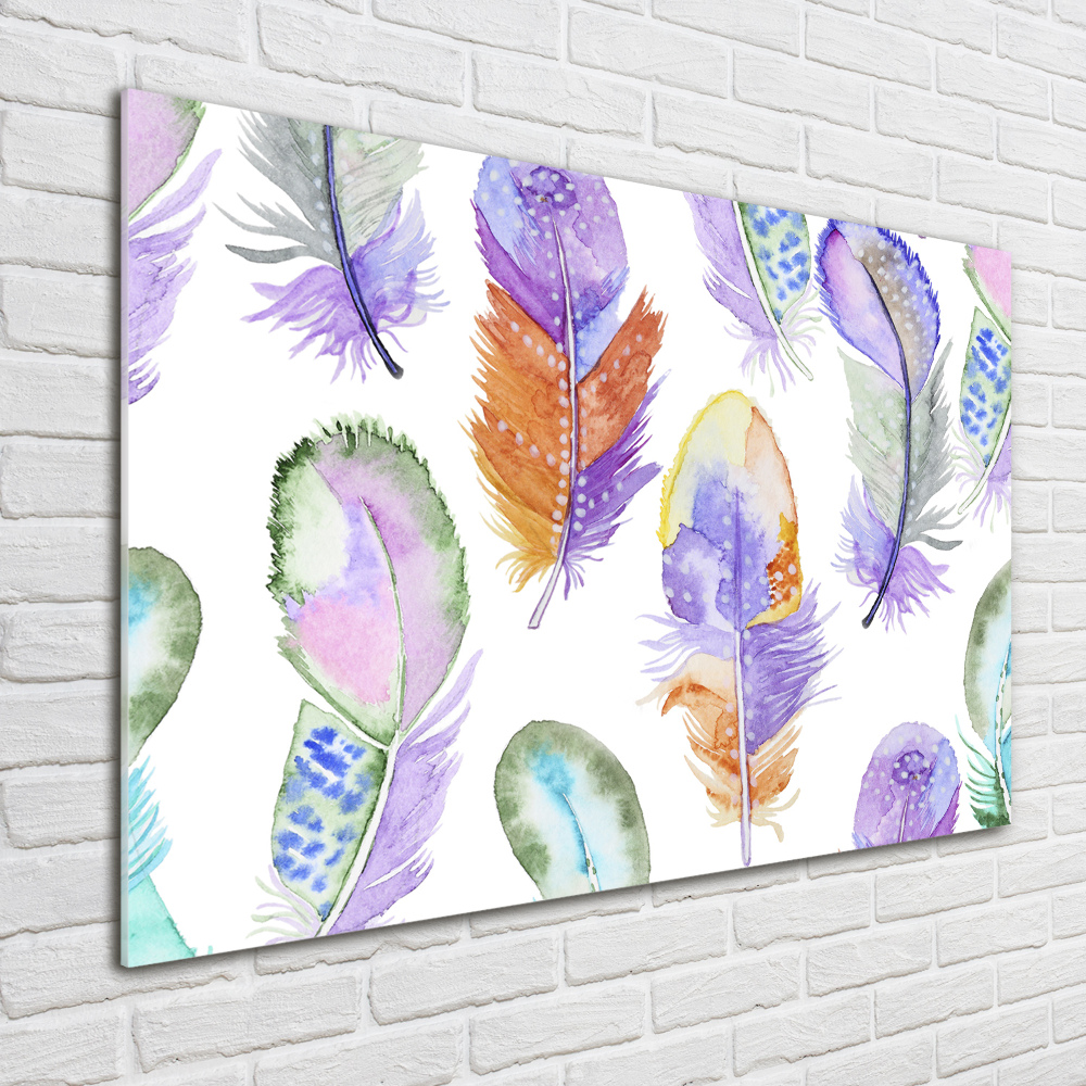 Wall art acrylic Colorful feathers