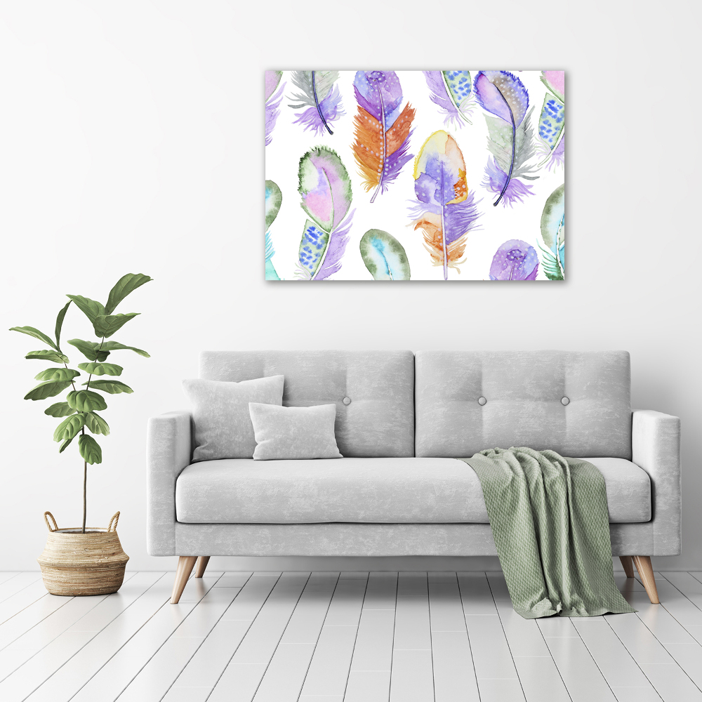 Wall art acrylic Colorful feathers