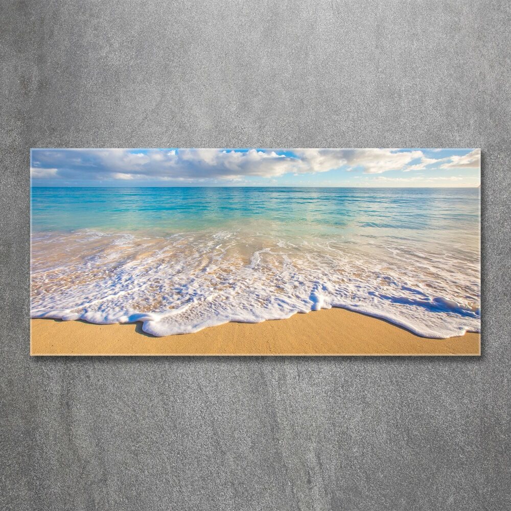 Wall art acrylic Hawaiian beach