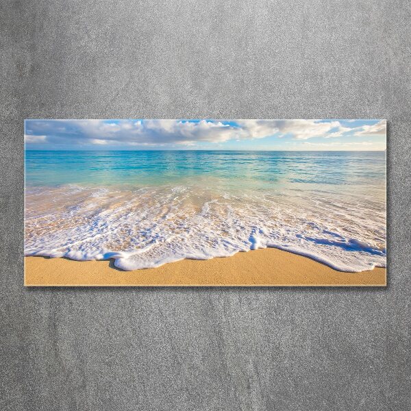 Wall art acrylic Hawaiian beach