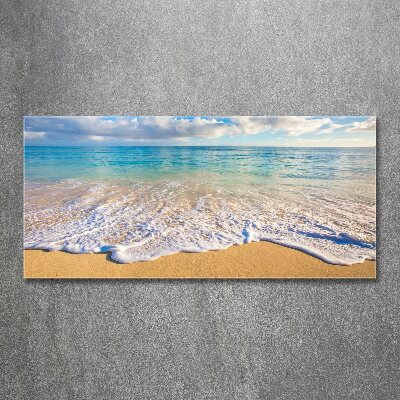 Wall art acrylic Hawaiian beach