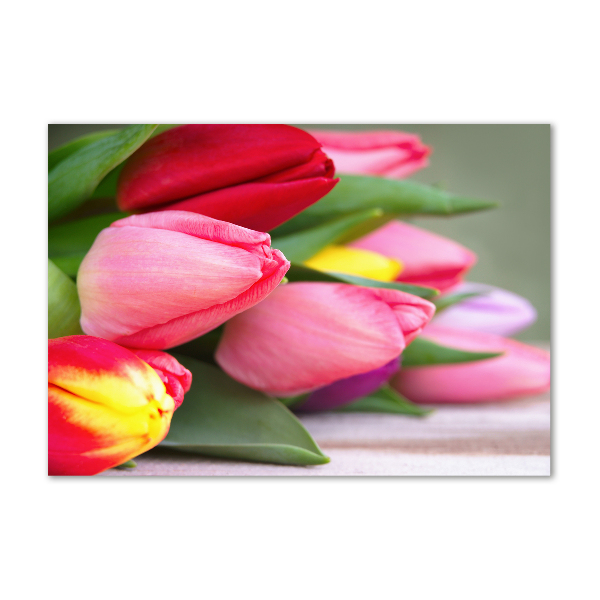 Wall art acrylic Colorful tulips