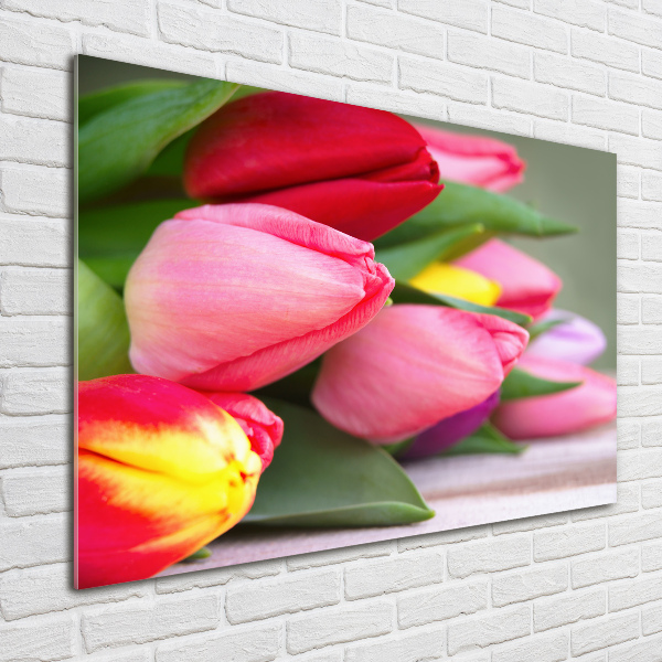 Wall art acrylic Colorful tulips