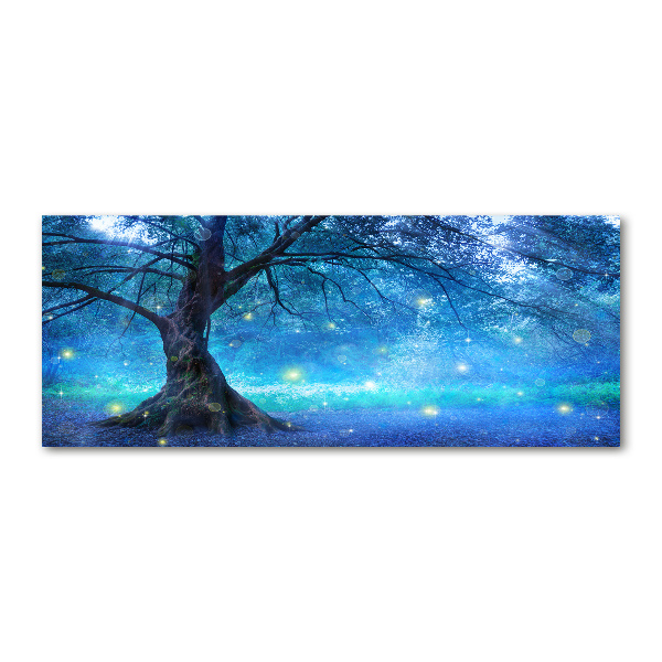 Acrylic wall art Mysterious forest