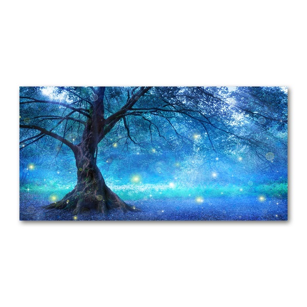 Acrylic wall art Mysterious forest