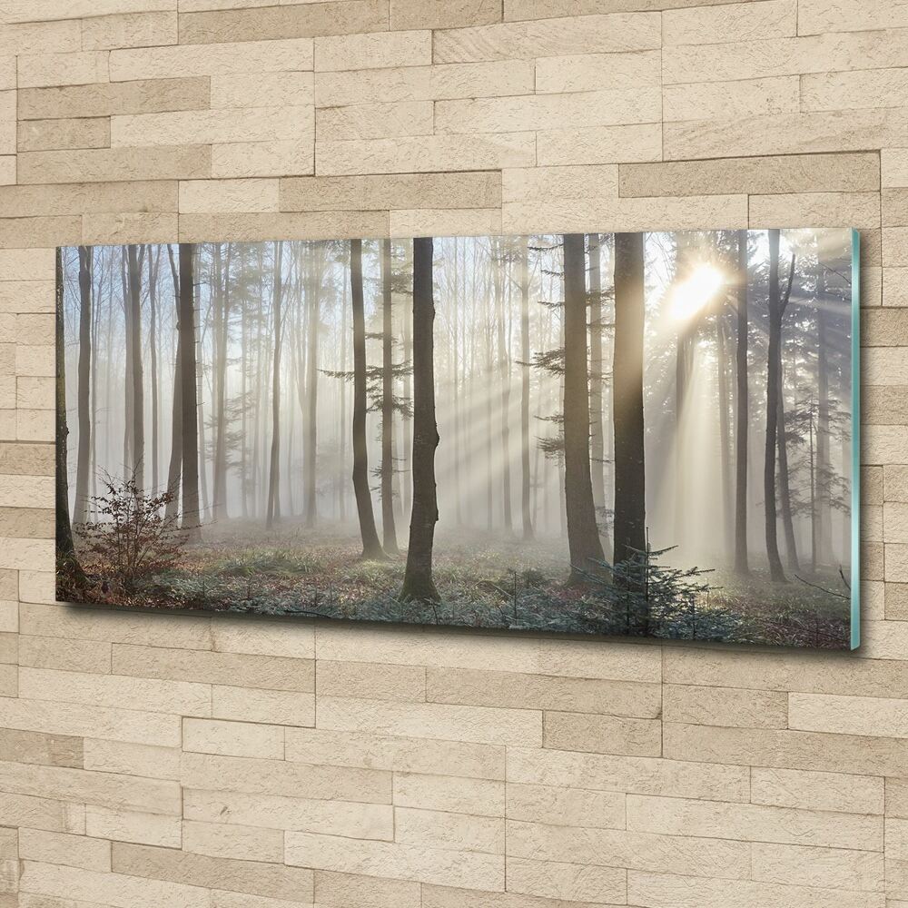 Acrylic wall art Fog in the forest