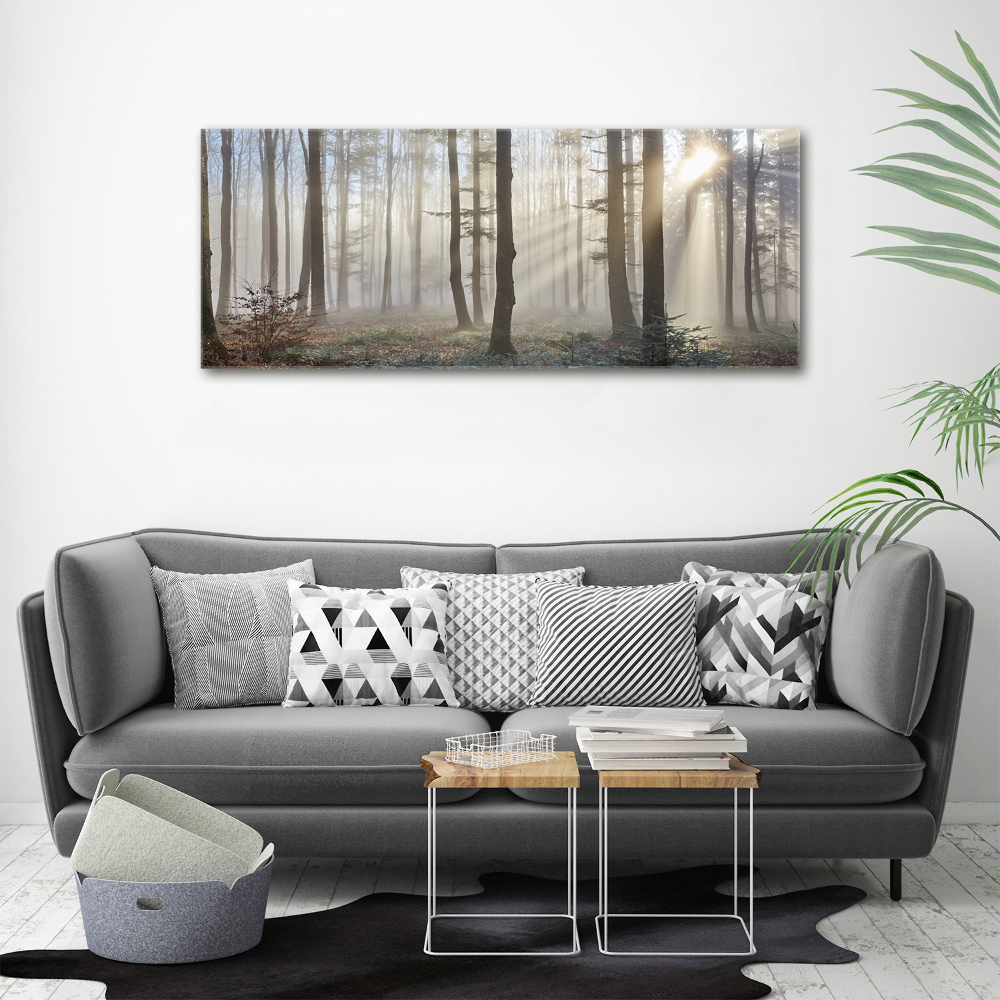 Acrylic wall art Fog in the forest