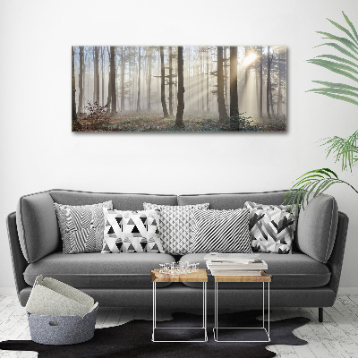 Acrylic wall art Fog in the forest