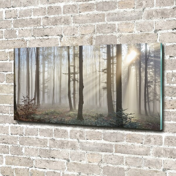 Acrylic wall art Fog in the forest