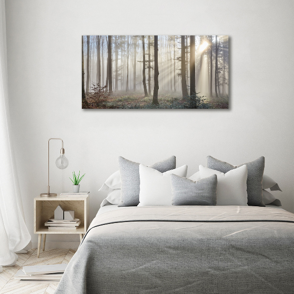 Acrylic wall art Fog in the forest