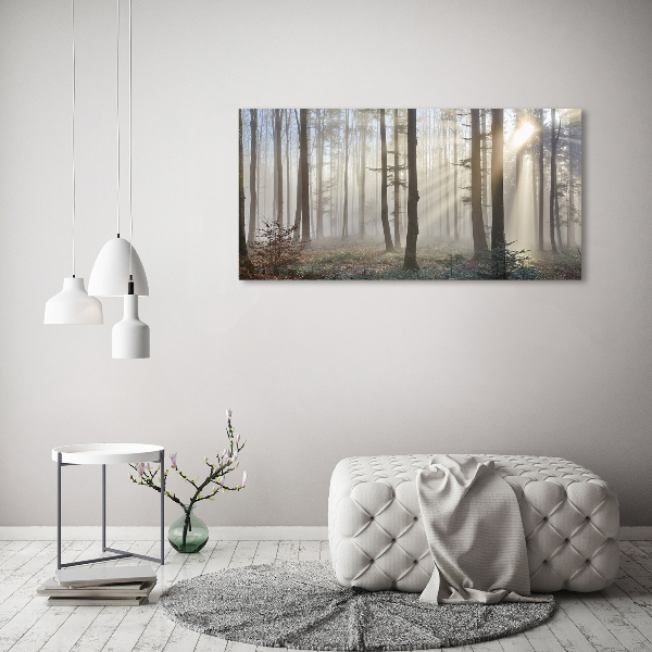 Acrylic wall art Fog in the forest