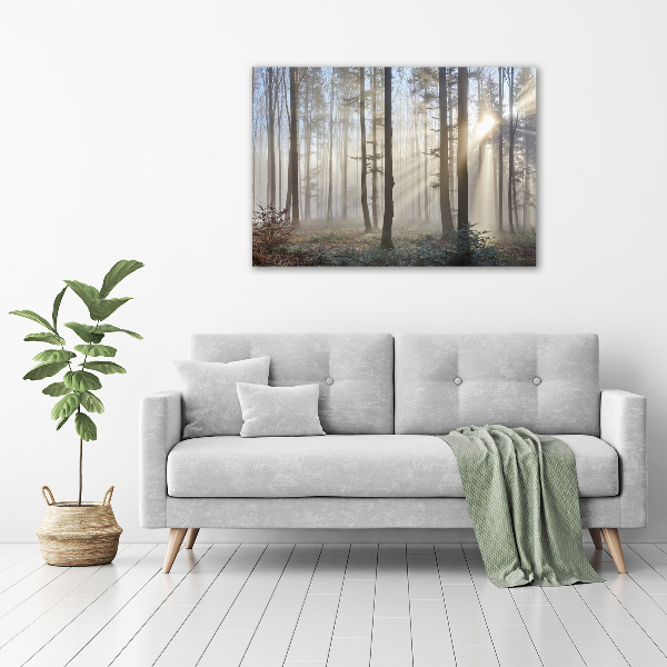 Acrylic wall art Fog in the forest