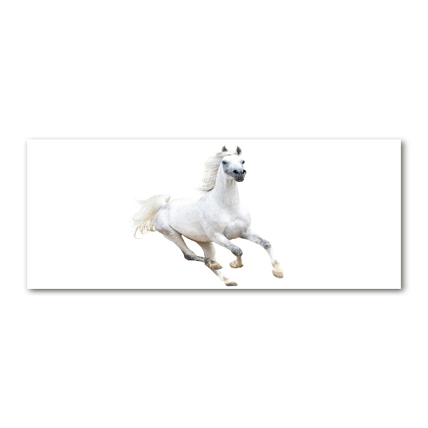 Wall art acrylic White Arabic horse