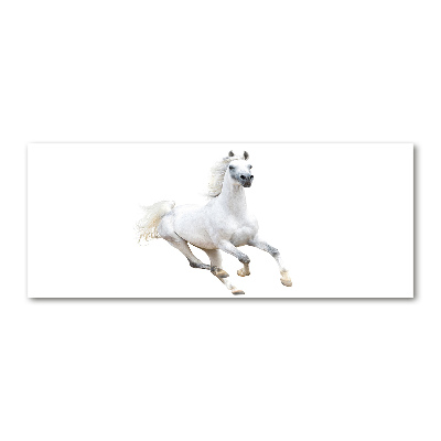 Wall art acrylic White Arabic horse