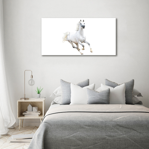 Wall art acrylic White Arabic horse