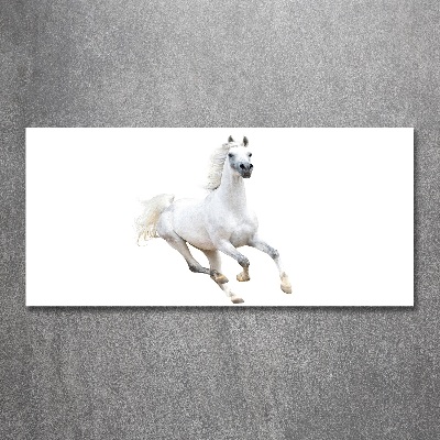 Wall art acrylic White Arabic horse