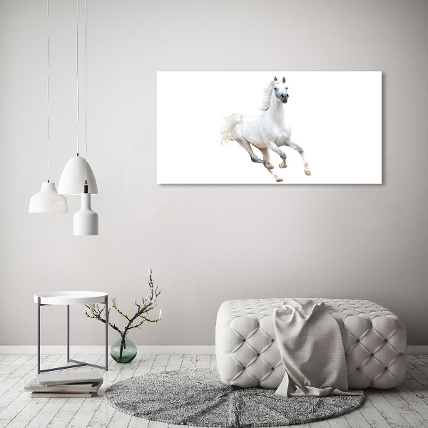 Wall art acrylic White Arabic horse