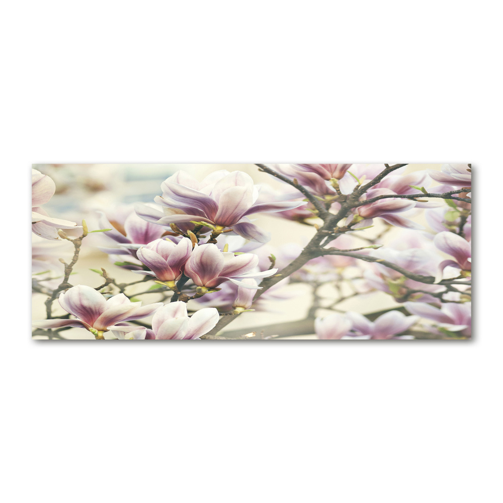 Glass acrylic wall art Magnolia