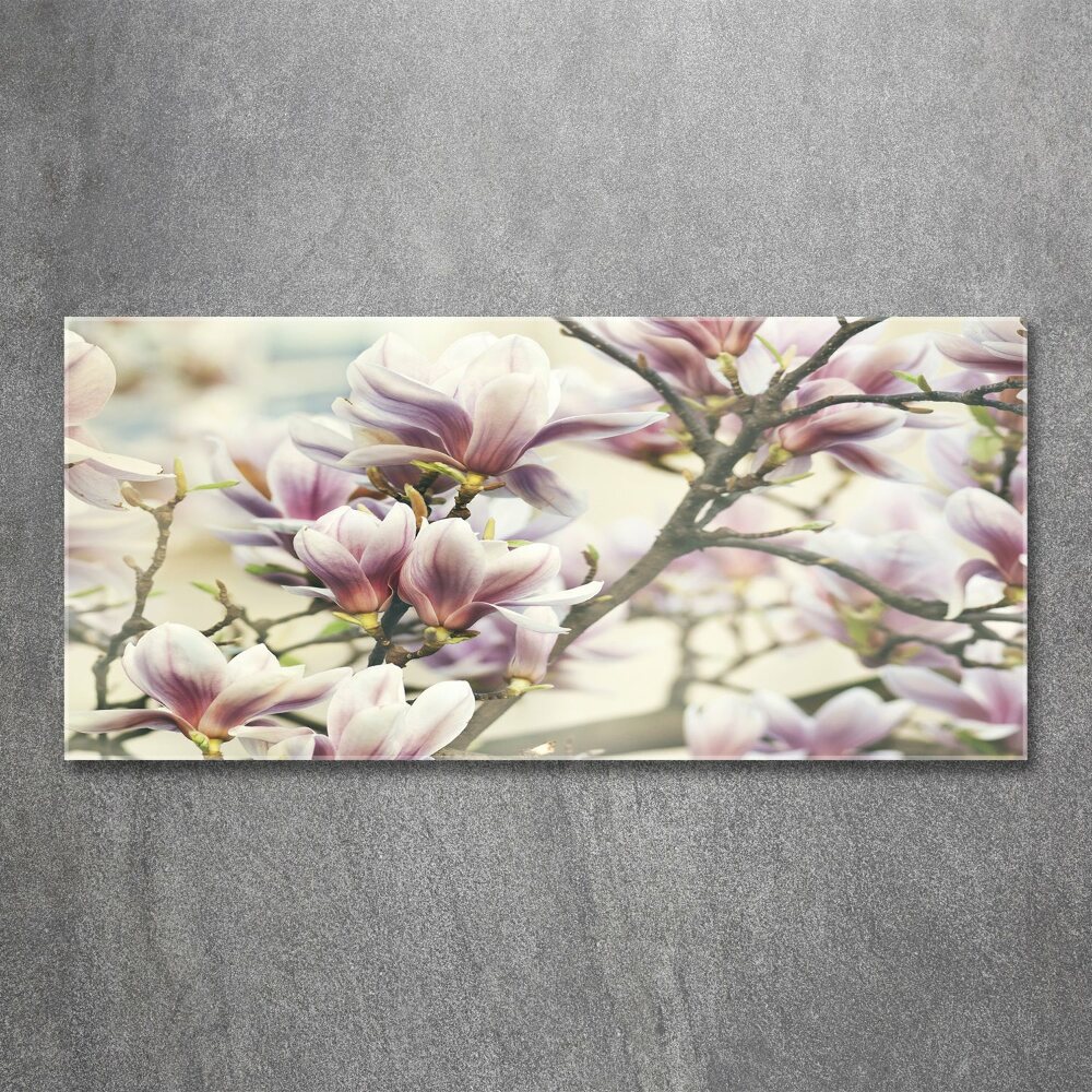 Glass acrylic wall art Magnolia