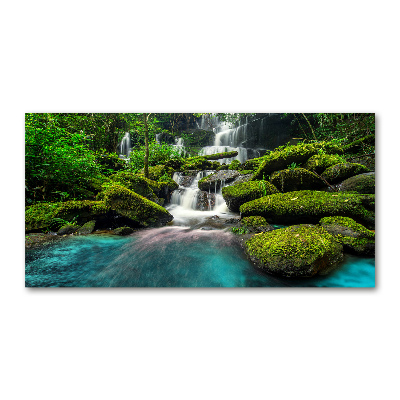 Acrylic print Waterfall in the jungle