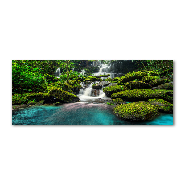 Acrylic print Waterfall in the jungle