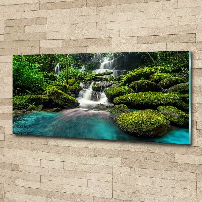 Acrylic print Waterfall in the jungle