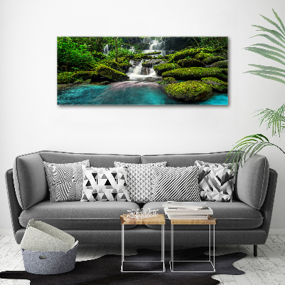 Acrylic print Waterfall in the jungle