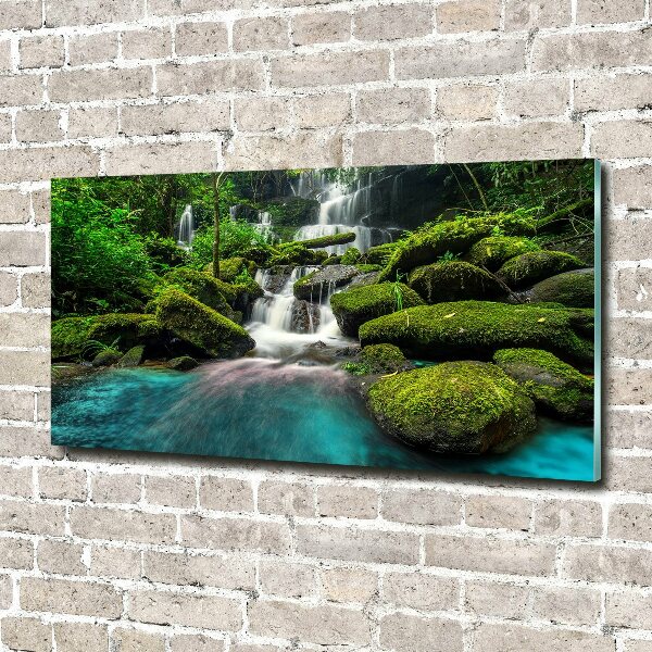 Acrylic print Waterfall in the jungle