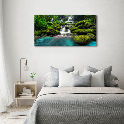 Acrylic print Waterfall in the jungle