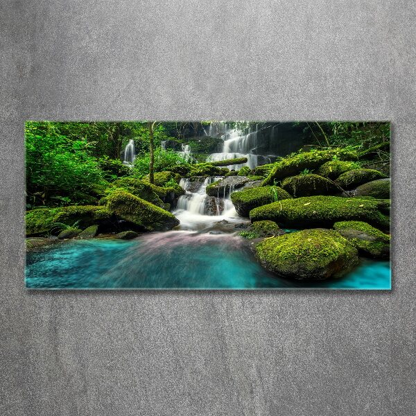 Acrylic print Waterfall in the jungle