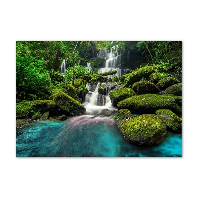 Acrylic print Waterfall in the jungle