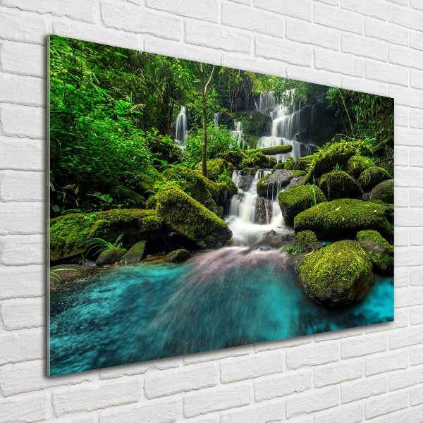 Acrylic print Waterfall in the jungle