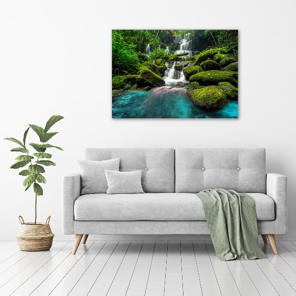 Acrylic print Waterfall in the jungle