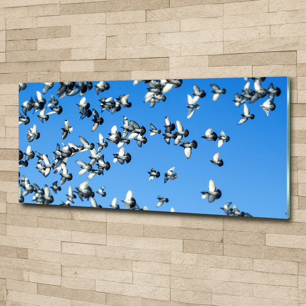 Wall art acrylic Flock of pigeons