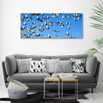 Wall art acrylic Flock of pigeons