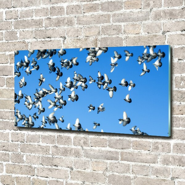 Wall art acrylic Flock of pigeons