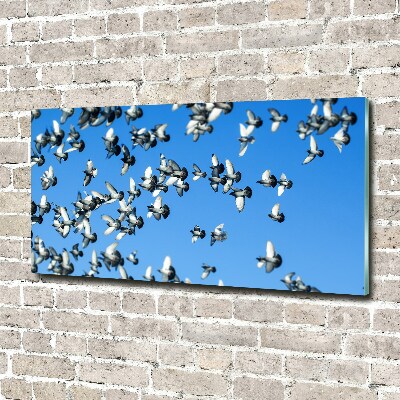 Wall art acrylic Flock of pigeons