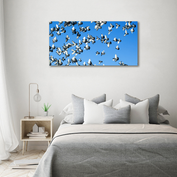 Wall art acrylic Flock of pigeons