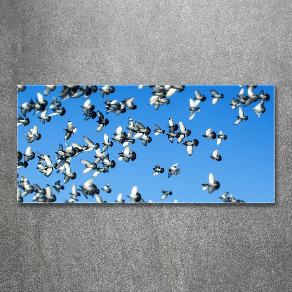 Wall art acrylic Flock of pigeons