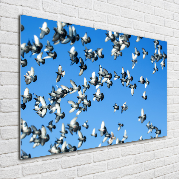 Wall art acrylic Flock of pigeons