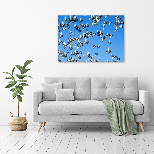 Wall art acrylic Flock of pigeons