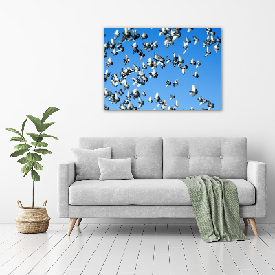 Wall art acrylic Flock of pigeons