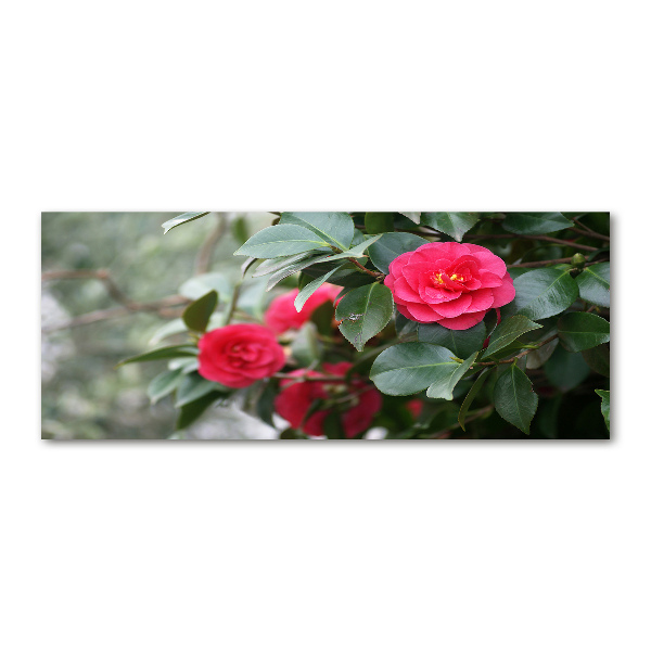 Wall art acrylic Camellia