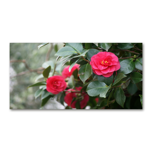 Wall art acrylic Camellia